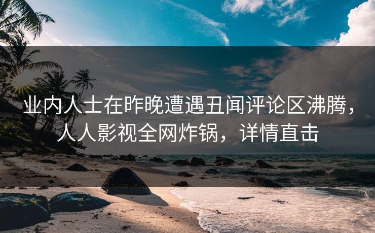 业内人士在昨晚遭遇丑闻评论区沸腾，人人影视全网炸锅，详情直击